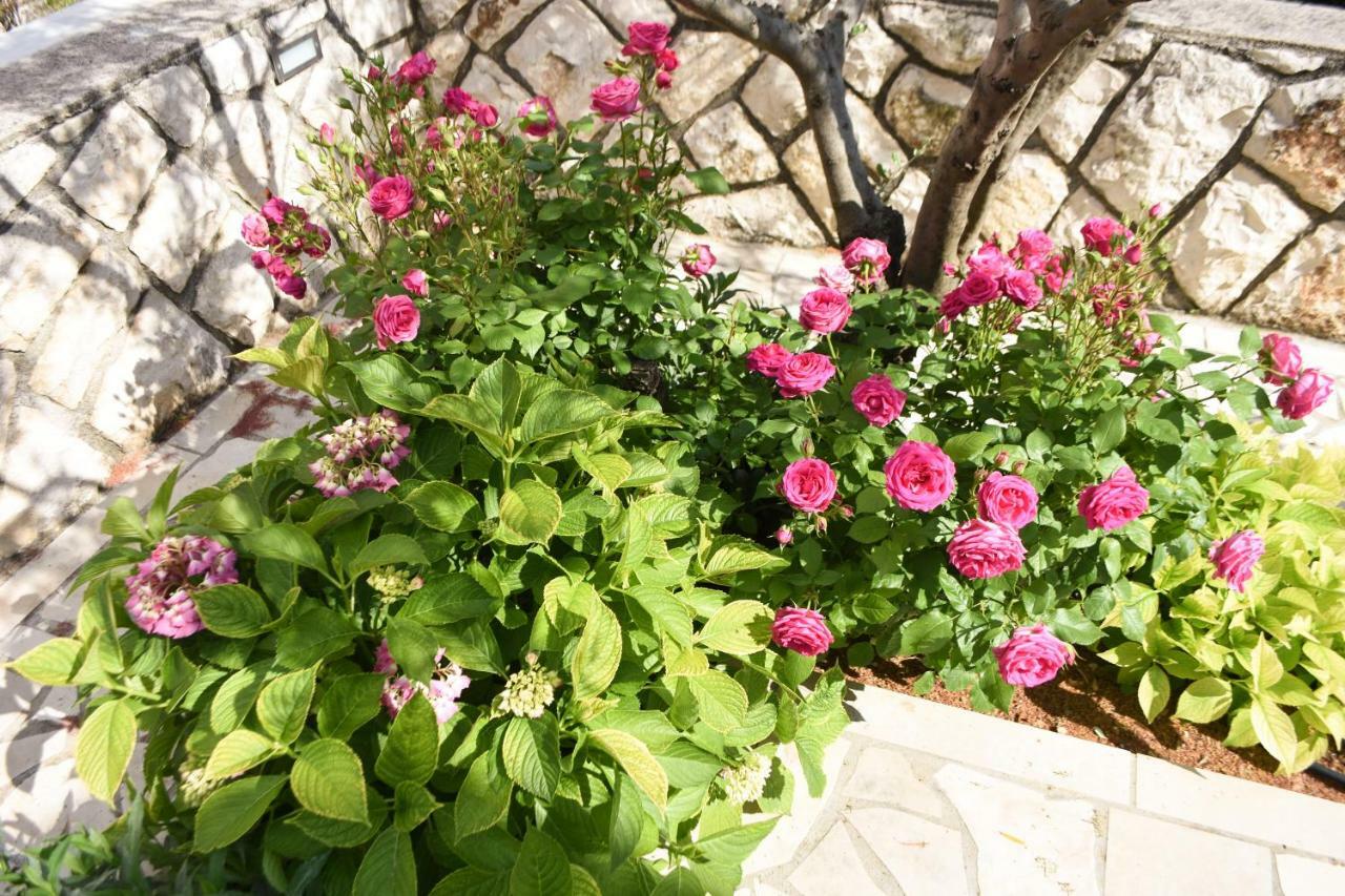 קרס Apartments Lila מראה חיצוני תמונה